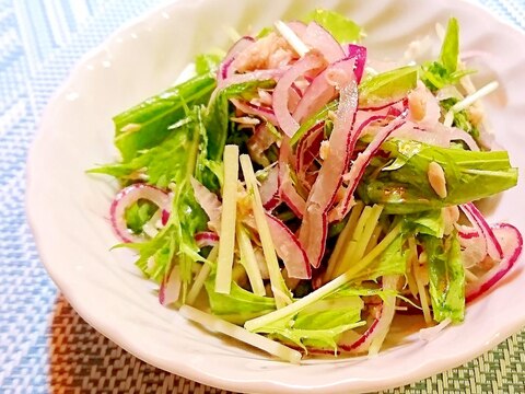 水菜と紫玉ねぎのツナサラダ
